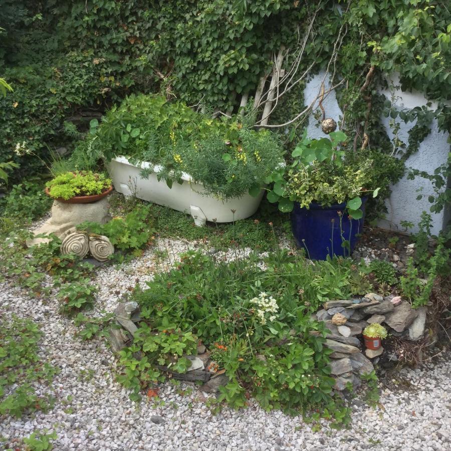 Ferienwohnung Hering In Dill Exterior foto