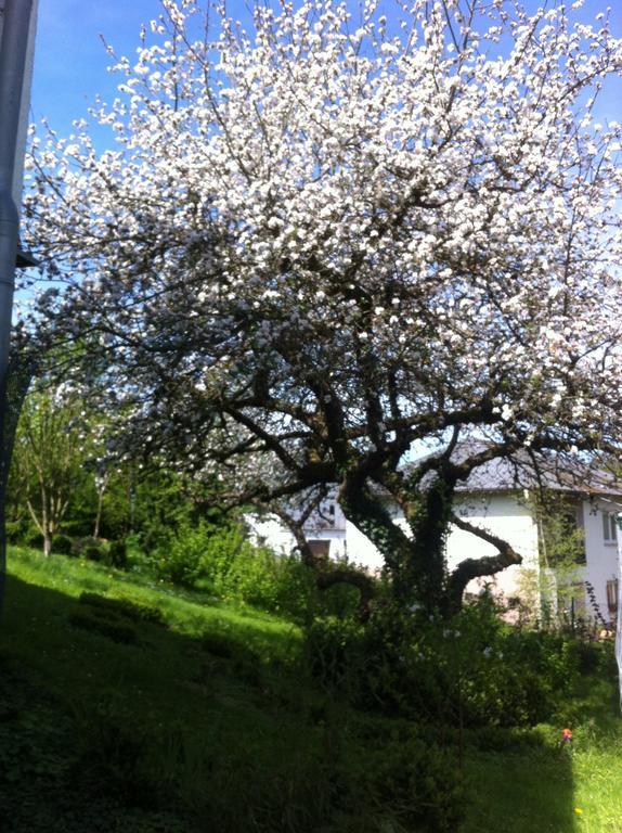 Ferienwohnung Hering In Dill Quarto foto